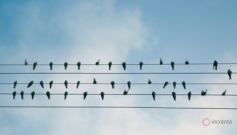 leads