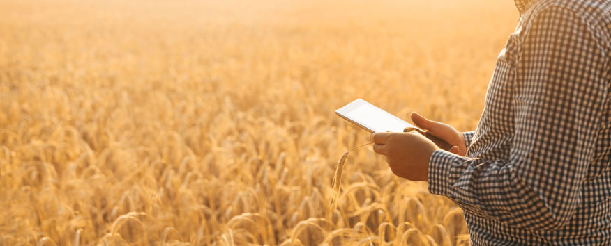 Digitalización de la Agricultura Increnta