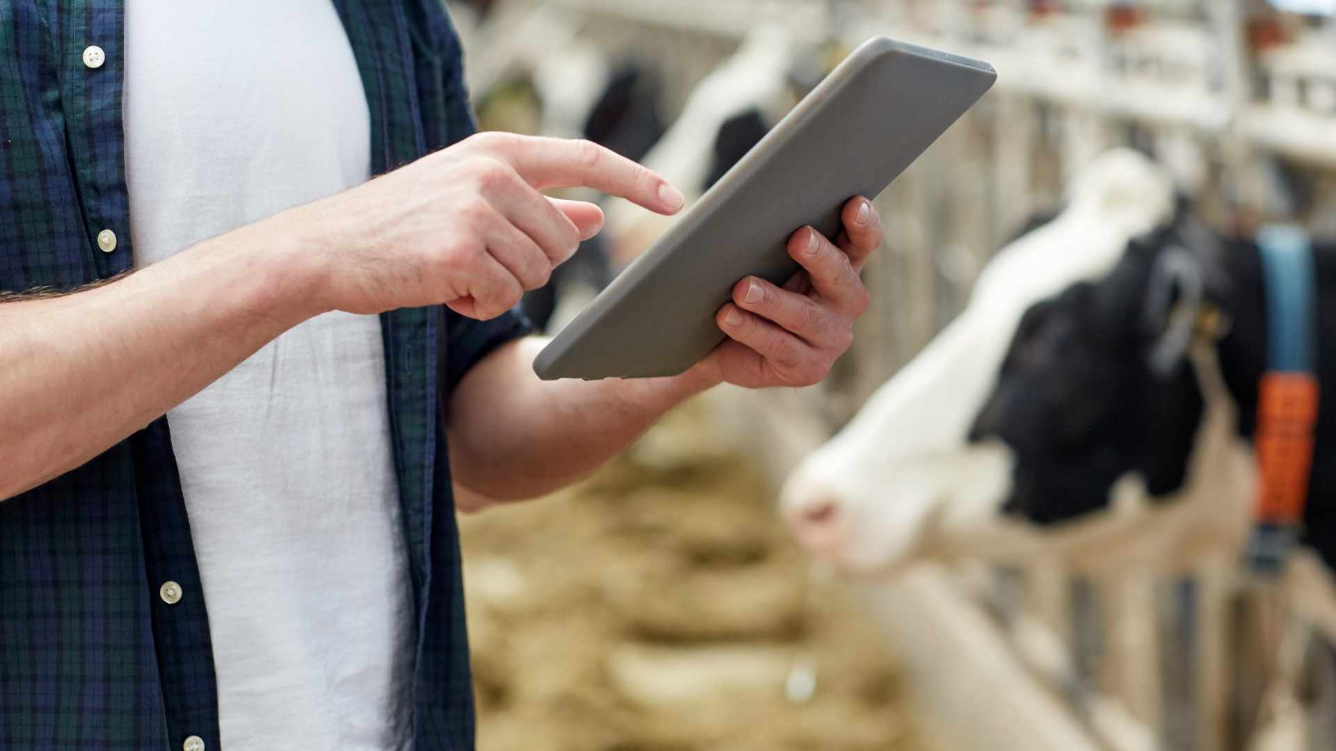 Estrategias de email marketing para empresas de agricultura y ganadería Increnta